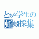 とある学生の蚯蚓採集（）