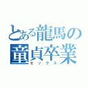 とある龍馬の童貞卒業（セックス）