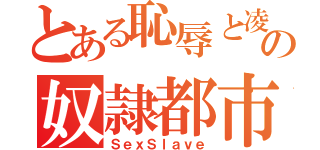 とある恥辱と凌辱の奴隷都市（ＳｅｘＳｌａｖｅ）