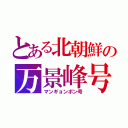 とある北朝鮮の万景峰号（マンギョンボン号）