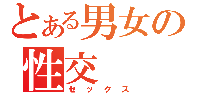 とある男女の性交（セックス）