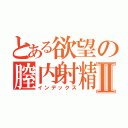 とある欲望の膣内射精Ⅱ（インデックス）