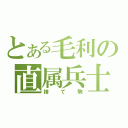 とある毛利の直属兵士（捨て駒）