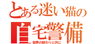 とある迷い猫の自宅警備（世界の終わりと共に）