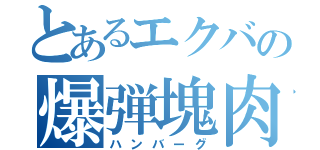 とあるエクバの爆弾塊肉（ハンバーグ）