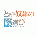 とある奴隷の嫁選び（天空の花嫁）