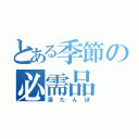 とある季節の必需品（湯たんぽ）