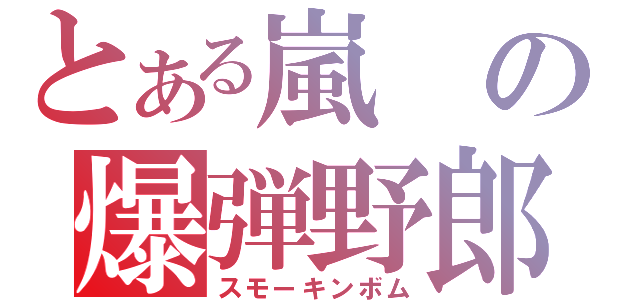 とある嵐の爆弾野郎（スモーキンボム）