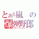 とある嵐の爆弾野郎（スモーキンボム）