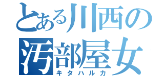 とある川西の汚部屋女子（キタハルカ）