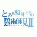 とある薬科大学の魔術師見習Ⅱ（たろーくん）