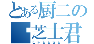 とある厨二の伪芝士君（ＣＨＥＥＳＥ）