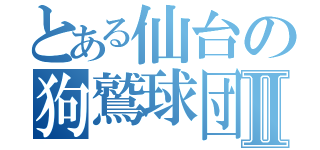 とある仙台の狗鷲球団Ⅱ（）