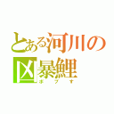 とある河川の凶暴鯉（ボブす）