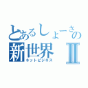 とあるしょーさんの新世界Ⅱ（ネットビジネス）