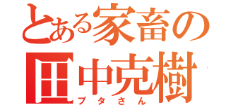 とある家畜の田中克樹（ブタさん）