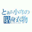 とある小穹の貼身衣物（インデックス）