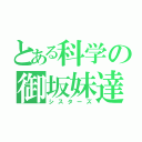 とある科学の御坂妹達（シスターズ）