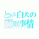 とある白犬の睡眠事情（ねるのじゃ）