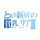 とある新居の貧乳リア充Ⅱ（さらーぱん）