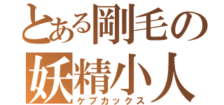 とある剛毛の妖精小人（ケブカックス）