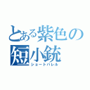 とある紫色の短小銃（ショートバレル）