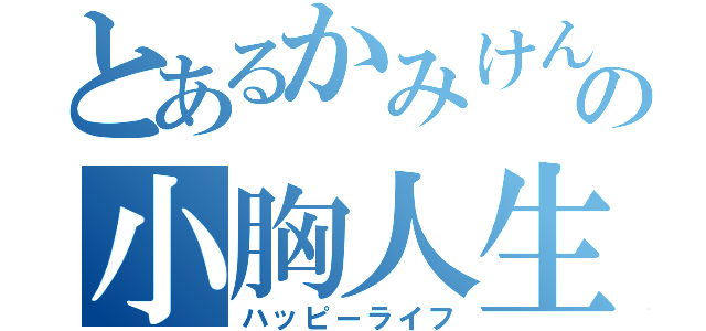 とあるかみけんの小胸人生（ハッピーライフ）