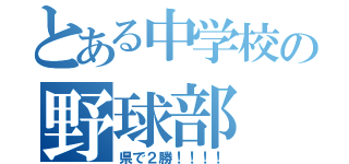 とある中学校の野球部（県で２勝！！！！）