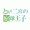 とある二宮の庭球王子（ショット ザ プリンス）