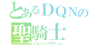 とあるＤＱＮの聖騎士（こらっ！パラディン）