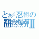 とある忍術の雷我爆弾Ⅱ（ライガーボム）