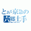 とある京急の六郷土手（普通しか止まりません）