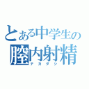 とある中学生の膣内射精（ナカダシ）