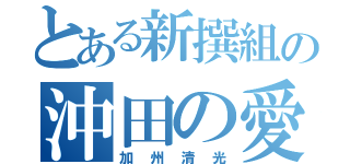 とある新撰組の沖田の愛刀（加州清光）