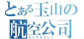 とある玉山の航空公司（エーアライーン）