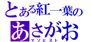 とある紅一葉のあさがお（マゾヒスト）