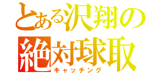 とある沢翔の絶対球取（キャッチング）