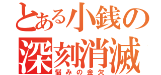 とある小銭の深刻消滅（悩みの金欠）