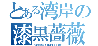 とある湾岸の漆黒薔薇（ＲａｇｕｎａｒｏｋＰｒｏｊｅｃｔ）