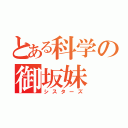 とある科学の御坂妹（シスターズ）