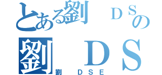 とある劉 ＤＳＥの劉 ＤＳＥ（劉 ＤＳＥ）