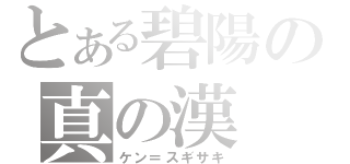 とある碧陽の真の漢（ケン＝スギサキ）