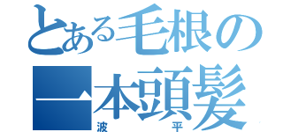 とある毛根の一本頭髪（波平）