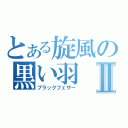 とある旋風の黒い羽Ⅱ（ブラックフェザー）