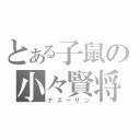 とある子鼠の小々賢将（ナズーリン）