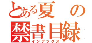 とある夏の禁書目録（インデックス）