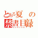 とある夏の禁書目録（インデックス）