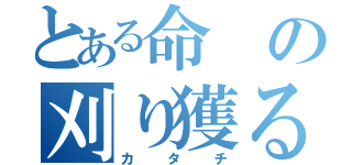 とある命の刈り獲る（カタチ）