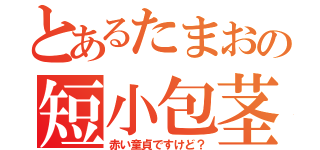 とあるたまおの短小包茎（赤い童貞ですけど？）