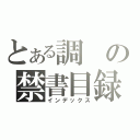 とある調の禁書目録（インデックス）